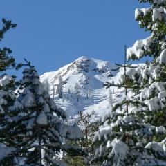 Big John at Alpine Meadows by Tahoe Getaways - Mountain Views, Cozy Fireplace, Shuttle to Slopes!
