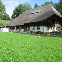 Ferienhaus Pfisterhof