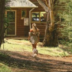 Little Olive Cabin