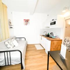 Hibiscus Appartement T2 avenue de Lodeve