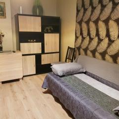 Apartament Silva Busteni