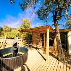 Cabaña en Achibueno con hot tub privado y vista al río