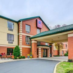 Comfort Suites Pittsburgh Airport