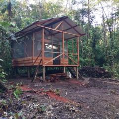 Cabaña Leucopternis - in the middle of Amazon forest
