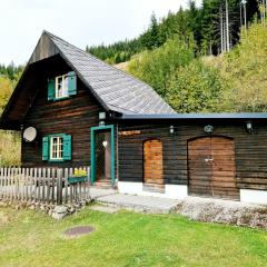 Rustic alpine hut in Vordernberg with sauna