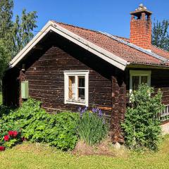 Stunning Home In Tällberg With Kitchen