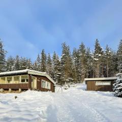 Gorgeous Home In Trysil With House A Mountain View