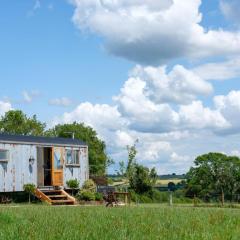 Honey Bee - Comfortable luxury shepherds hut with hot tub