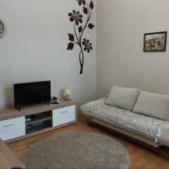 Family Stay in Lviv (2 Rooms + Kitchen)