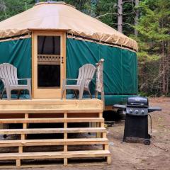 Allie Mae Yurt nestled in the woods