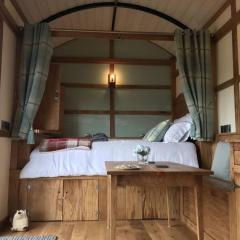 The Orient Express Shepherd's Hut with Hot Tub