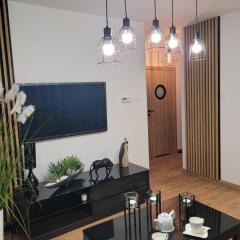 Apartament Złota Dziewiątka