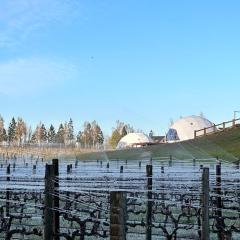 Glamping Dome - Pinot