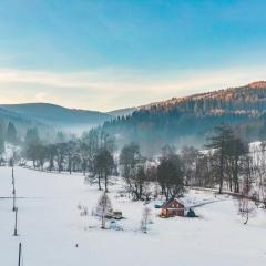 Drewniany domek pod masywem Śnieżnika