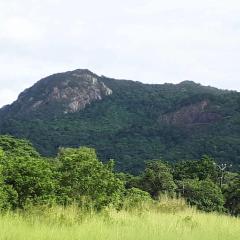 Glamping at Mirimbi
