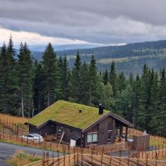 New cabin with jacuzzi, sauna and ski inout