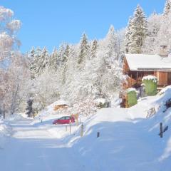 Chalet de Marie proche des Saisies