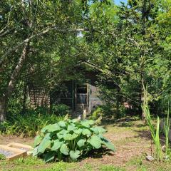 Blue Ridge Cottage