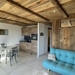 Appartement Huez, 1 pièce, 4 personnes - FR-1-405-227