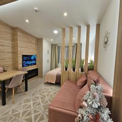 Dux Apartmani - Milmari, Kopaonik
