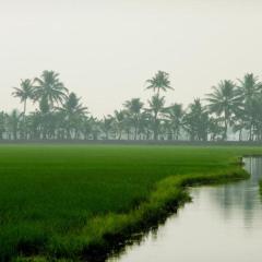 Green valley Alleppey