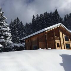 Chalet aux Cerfs - Maison pour 10 vue montagne