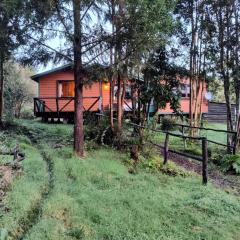 Casa o habitacion en carretera austral