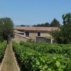charming vacation rental with a swimming pool in the heart of luberon natural park,13 people