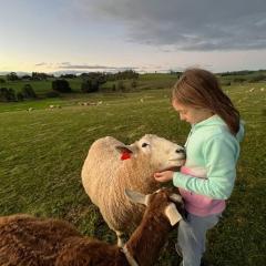 Jilly Park Farmstay Experience Discover Authentic Farm Life Complimentary Breakfast Included