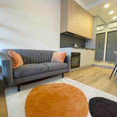 Apartment in Vilnius