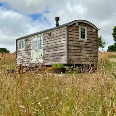 Private and peaceful stay in a Luxury Shepherds Hut near Truro