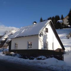 Holiday home Nove Hamry/Erzgebirge 1646