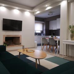 Athenian Luxury apartment, near metro station Chalandri, Nu 1