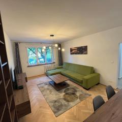 New spacious one-room apartment