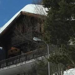 Chalet Hockenhorst, 1-10 personen -Familiechalet in fijn skigebied
