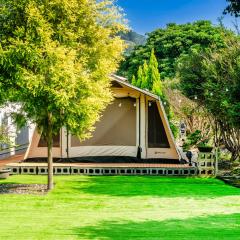 六沐森民宿.森居Glamping.包区栋
