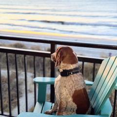 Oceanfront 3br/2ba Dog Friendly