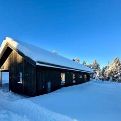 New cabin near X Country ski trails at Blefjell with Jacuzzi