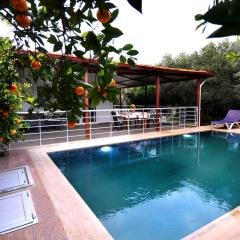 Avci Villa-Fethiye 3+1 in Garden with Private Pool, 10 minutes to the beach