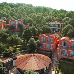 Essence of Nature, Ranikhet