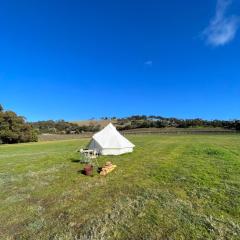 Cosy Glamping Tent 4