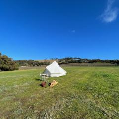 Cosy Glamping Tent 6