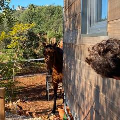 Location Tiny House Loule