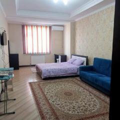 apartment on Turusbekova 13