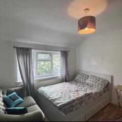 Spacious Large Modern Double close to Central London Breakfast Included