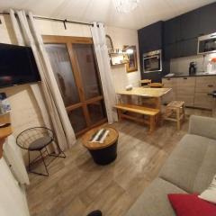 VALLOIRE, studio 22m2, tout à pied, remontées mécaniques à 100m