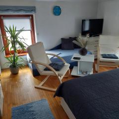 Apartments Bikica