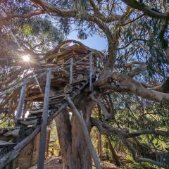 Magical Treehouse