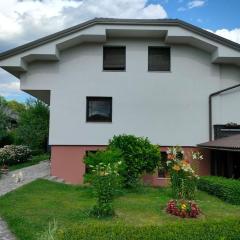 Apartment Jona, Bled