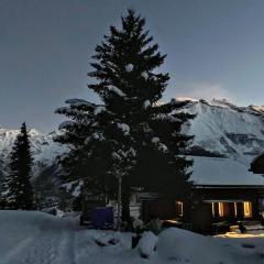 Engelberg, Renovated Chalet in Wonderful Location